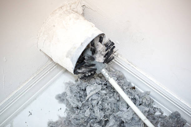 Air Duct Mold Removal in Nashville, MI